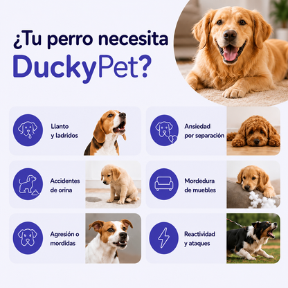 Kit Difusor de Fermonas  para Perros