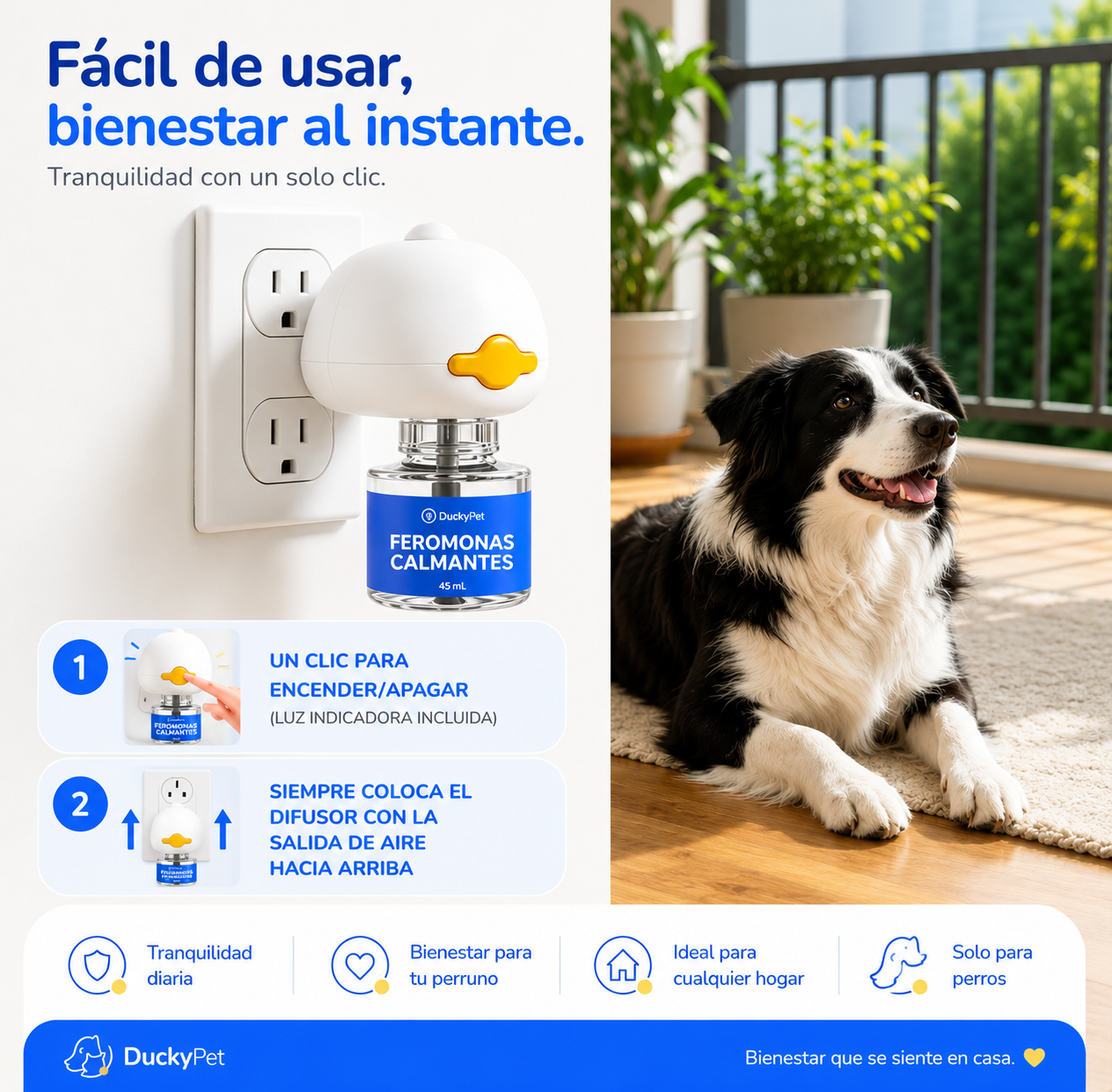 Kit Difusor de Fermonas  para Perros